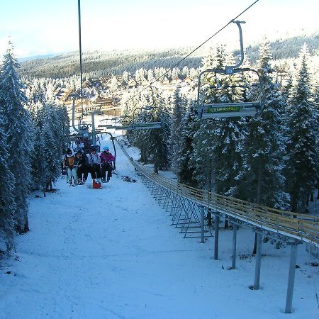 Apartment Sofi Yeti Kopaonik Dış mekan fotoğraf