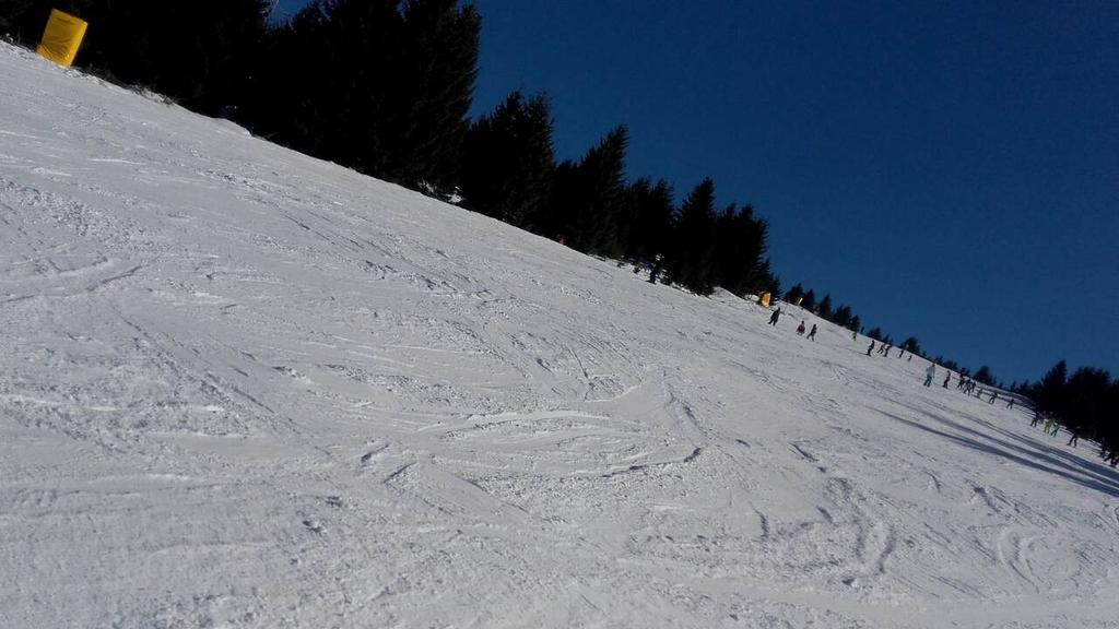 Apartment Sofi Yeti Kopaonik Dış mekan fotoğraf